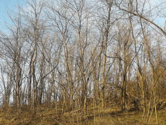 Sunčano i malo toplije