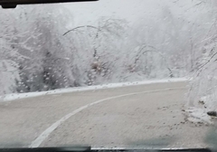 Kolaps u Hrvatskoj: Zbog olujnog vjetra zatvoreni putevi