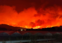 "OVO JE APOKALIPSA" Požari u Grčkoj se ne smiruju, poginulo dvoje ljudi 