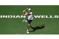 Đoković prijavljen za Indijan Vels