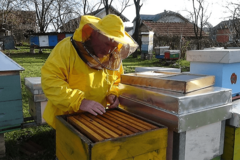 Loše vrijeme zagorčalo prinose meda