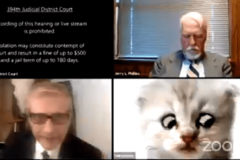 "Advokat mačak" nasmijao svijet