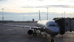 Nova drama u Rusiji: Žena prijetila bombom u avionu