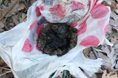 U akciji "Bonus" oduzeta veća količina droge i oružja