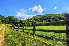 DO KRAJA SEDMICE VRUĆE Temperatura do 40 stepeni, stižu i tropske noći
