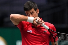 Pao Čilić, Novak protiv najboljeg dubla svijeta za finale Dejvis kupa