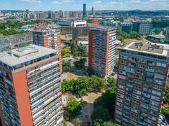 Pacovi ulaze u WC šolju: Stručnjak otkrio šta se dešava u Beogradu