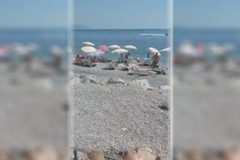 Okreću janje na plaži Jaz kod Budve