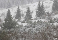 Pale prve pahulje u Sloveniji