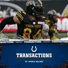 "Veliki Srbin" stiže u NFL , Nikola Kalinić u Koltsima