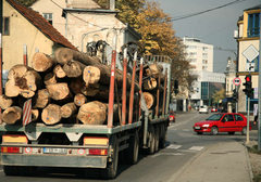 Šumski sortimenti u Srpskoj: Pad proizvodnje, povećanje prodaje