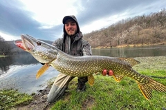 Na Sani ulovio sve same kapitalce (FOTO)