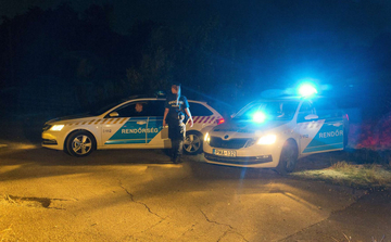 MAĐARSKA Sedam osoba poginulo u slijetanju automobila sa tablicama Srbije