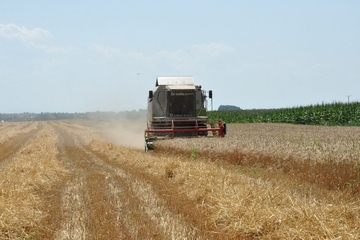 Kad je na redu popis poljoprivrede u BiH, posljednji bio davne 1960. godine