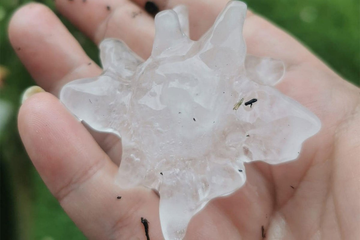 Snažno nevrijeme u Sloveniji, meteorolozi u šoku: Padao grad veličine golf loptice (FOTO)