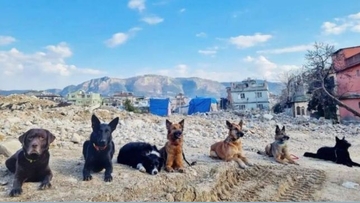 "Sedam veličanstvenih" iz Hrvatske uzelo kratki predah: Fotografija iz Turske raznježila region