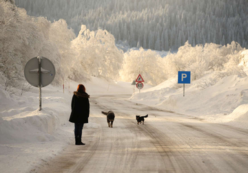 Snijeg za Novu godinu postao RIJETKA POJAVA: Bijeli doček imali smo davne 2015. godine