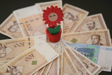 U BiH iz dijaspore stiglo 793,58 miliona KM