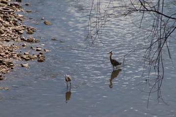 Dugoročna prognoza vremena za narednu nedjelju