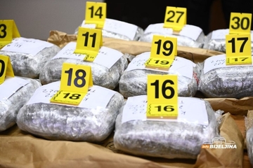 Mafijaši iz BiH sarađuju sa latinoameričkim bandama