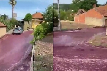 Nesvakidašnja poplava u Portugalu: Pukao rezervoar u vinariji, dva miliona litara vina teklo ulicama