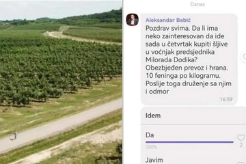Cenić objavila Viber poruku u kojoj se ljude poziva na kupljenje šljiva kod Dodika
