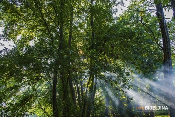 Ugodnija temperatura vazduha: U BiH sutra sunčano vrijeme uz malu do umjerenu oblačnost