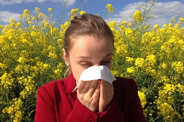 Kod sve više ljudi alergije se razvijaju poslije 30. godine