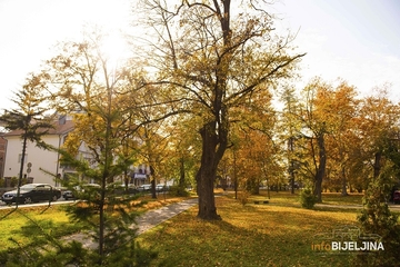 Danas sunčano i toplo