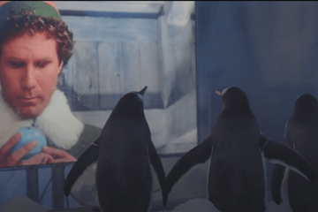 Pingvini u londonskom akvarijumu gledaju božićne filmove