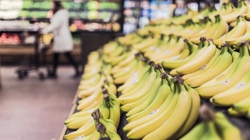 U paketima banana pronađeno 30 kila kokaina