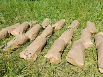 Pronađena plantaža marihuane u Doboju, ne zna se čija je