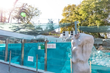 Seli se Beogradski zoološki vrt