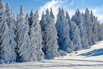 Meteorolozi objavili kakva nas zima očekuje