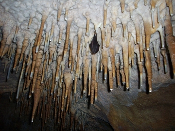 Drama u Sloveniji: U pećini povrijeđena žena speleolog, u toku velika akcija spašavanja