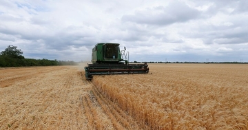 NASA: Rusija kontroliše 22 posto poljoprivrednog zemljišta u Ukrajini