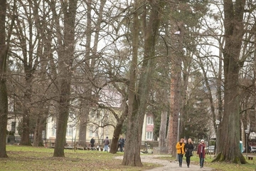 Jesen u svojim bojama: Narednih dana promjenljivo vrijeme sa mjestimičnom kišom