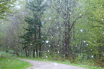 Naoblačenje sa kišom i susnježicom, na planinama snijeg