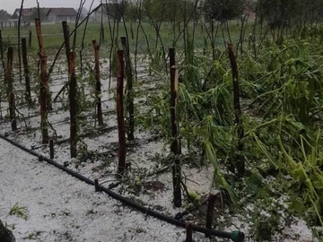 U Modriči nevrijeme načinilo ogromne štete, proglašena vanredna situacija 