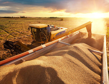 UN pokušavaju da posreduju u dogovoru sa Rusijom oko izvoza žita