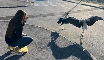 Djevojke sa Pala spasile rodu, dali joj ime Nada (FOTO/VIDEO)
