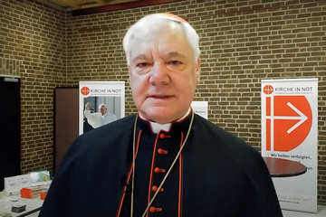 Kardinal iz Njemačke upozorio: Novi papa mora da se suprotstavi gej lobiju