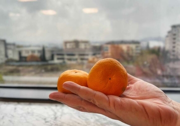 U mandarinama iz Hrvatske pronađen pesticid zbranjen u BiH i EU