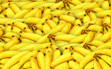 U Crnoj Gori uništeno 20 tona banana zbog pesticida koji je u Srbiji dozvoljen za šećernu repu