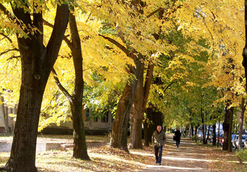 STIGLA PRAVA JESEN U BiH sutra promjenljivo oblačno sa sunčanim intervalima