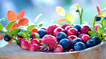  Ovo voće bi ste trebali  jesti svaki dan