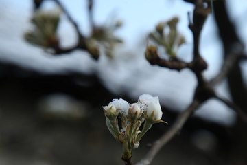Ova sedmica hladnija nego prošla: U BiH kišovito, za vikend mogući mraz i snijeg