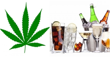 MARIHUANA ILI ALKOHOL Naučnici objasnili šta je štetnije