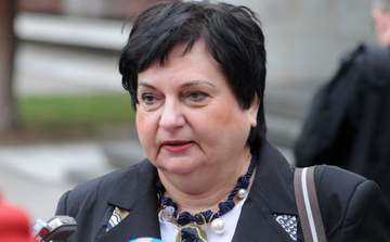 Majkić: Pojedine stranke, kao SDA, u potpunosti preuzele kontrolu nad pravosuđem