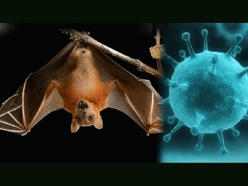 Prijeti novi smrtnosni virus iz Azije: Ubija u roku od 24 sata skoro sve koji se zaraze?!